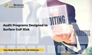 How regulators assess audit effectiveness