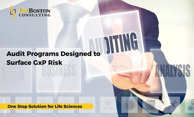 Audit Programs Designed to Surface GxP Risk 3 How regulators assess audit effectiveness