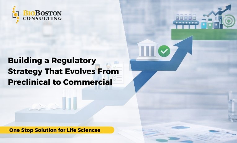 Building a Regulatory Strategy That Evolves From Preclinical to Commercial 3 regulatory strategy lifecycle from preclinical to commercial