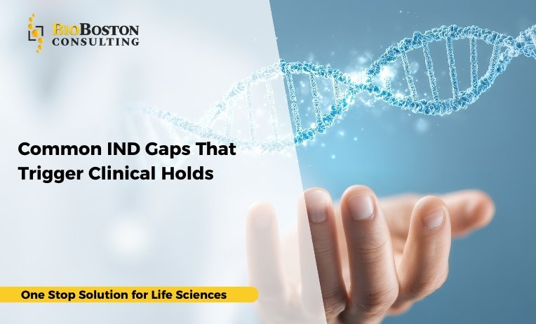 Common IND Gaps That Trigger Clinical Holds 9 Filing an Investigational New Drug (IND) application is a pivotal milestone in drug development
