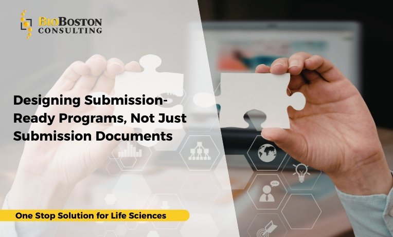 Designing Submission-Ready Programs, Not Just Submission Documents 2 linking clinical CMC and regulatory activities for submission