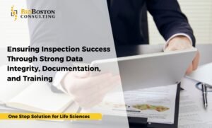 Audit-driven programs for data integrity and inspection readiness in life sciences