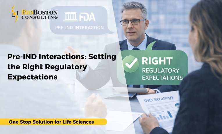 Pre-IND Interactions: Setting Right Regulatory Expectations 7 Gap assessments of pre-IND data, submissions, and supporting documentation