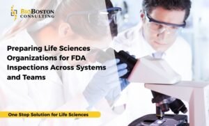 BioBoston Consulting conducting system-level and mock FDA inspections