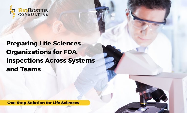 Preparing Life Sciences Organizations for FDA Inspections Across Systems 2 BioBoston Consulting conducting system-level and mock FDA inspections