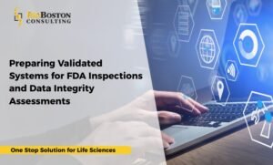 quality management systems (QMS)