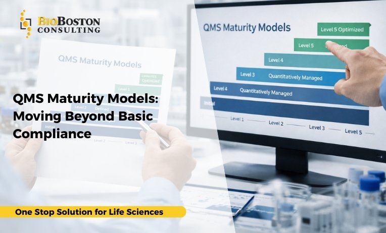 QMS Maturity Models: Moving Beyond Basic Compliance 7 qms-maturity-model-for-life-sciences