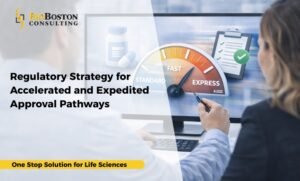 accelerated regulatory approval strategy lifecycle