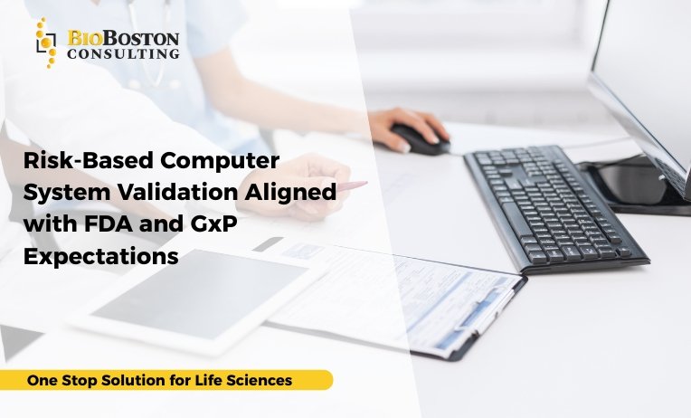Risk-Based Computer System Validation Aligned with FDA and GxP Expectations 5 Risk-based computer system validation aligned with FDA expectations