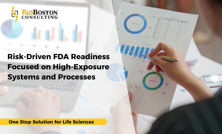 Risk-Driven FDA Readiness Focused on High-Exposure Systems and Processes 96 Supplier audit for high-risk processes in Life Sciences