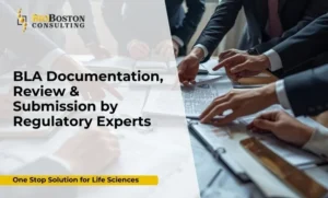 how to prepare a biologics license application for FDA approval