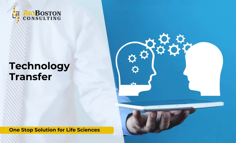 Business and technology consultants collaborating with stakeholders to design digital innovation strategies using data dashboards and modern analytics tools in a professional workspace.