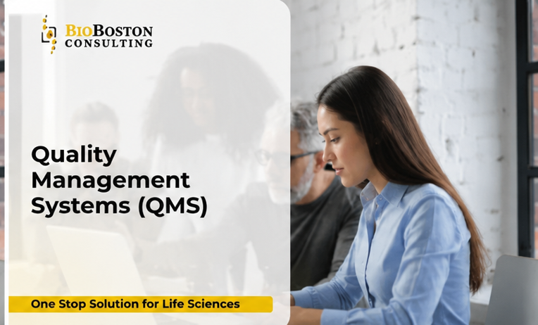 Best Quality Management System software with 11 essential quality practices