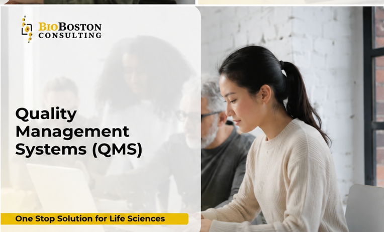 Best Quality Management System software with 12 critical digital quality strategies